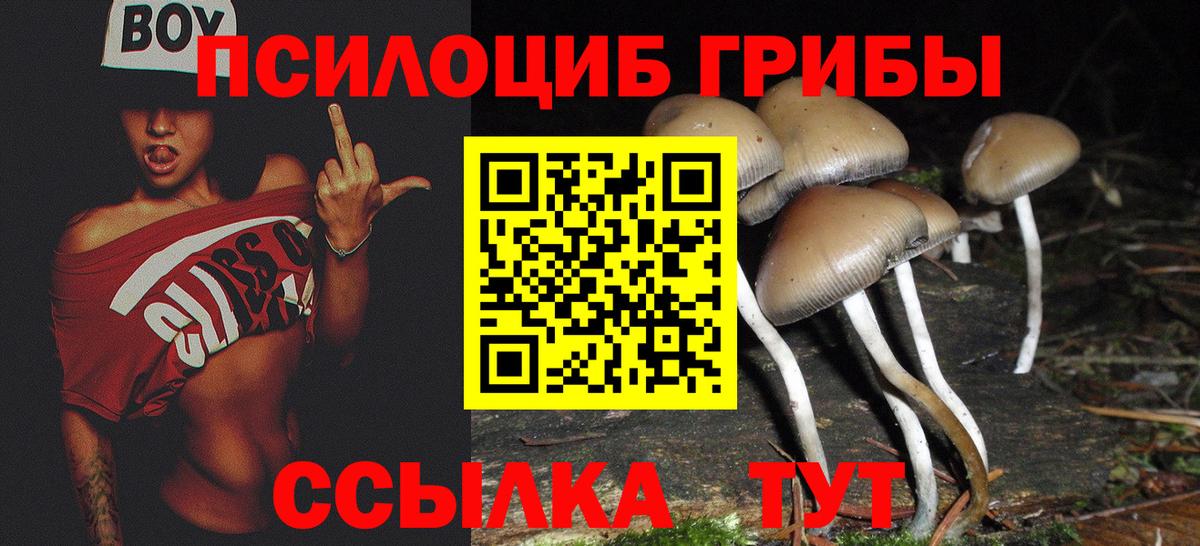 Кудымкар  Псилоцибиновые грибы ЛСД  даркнет сайт  Вход с VPN 